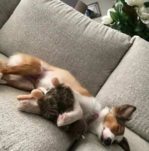 Meet your Posher, Melissa